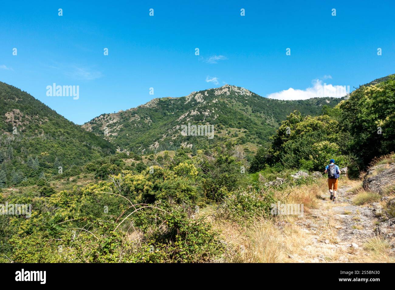 Landschaft des Nationalparks Cevennen, in Vialas (Südfrankreich) Stockfoto