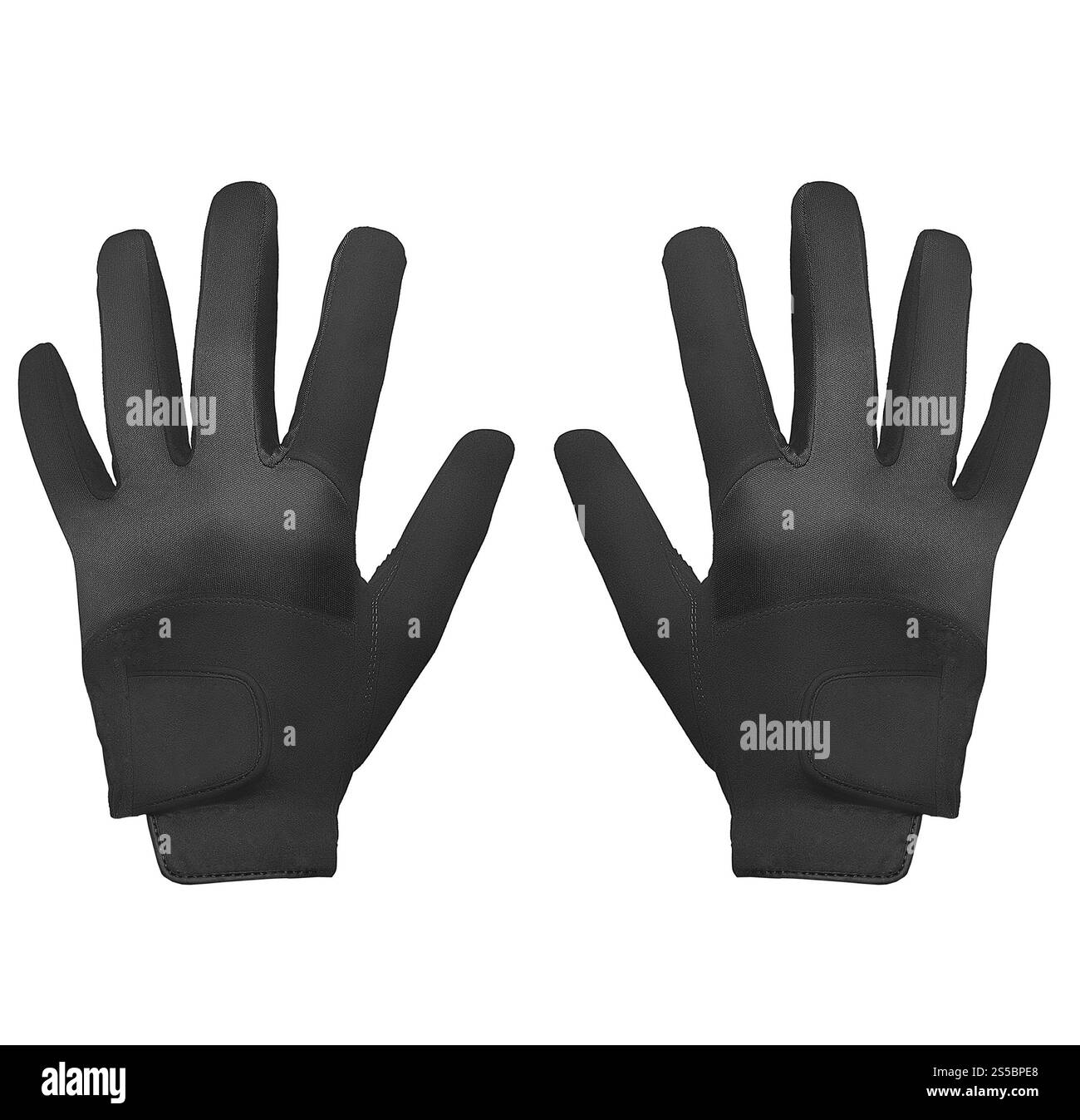 Sporthandschuh auf weißem Hintergrund. Sporthandschuh Stockfoto