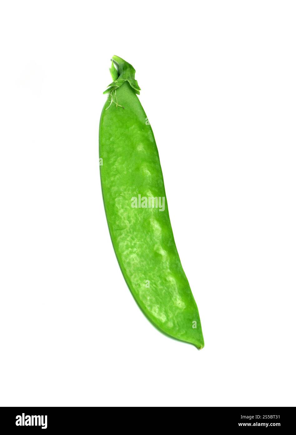 Frische grüne Erbsen isoliert auf weißem Hintergrund. Studiofoto. Frische grüne Erbsen isoliert Stockfoto