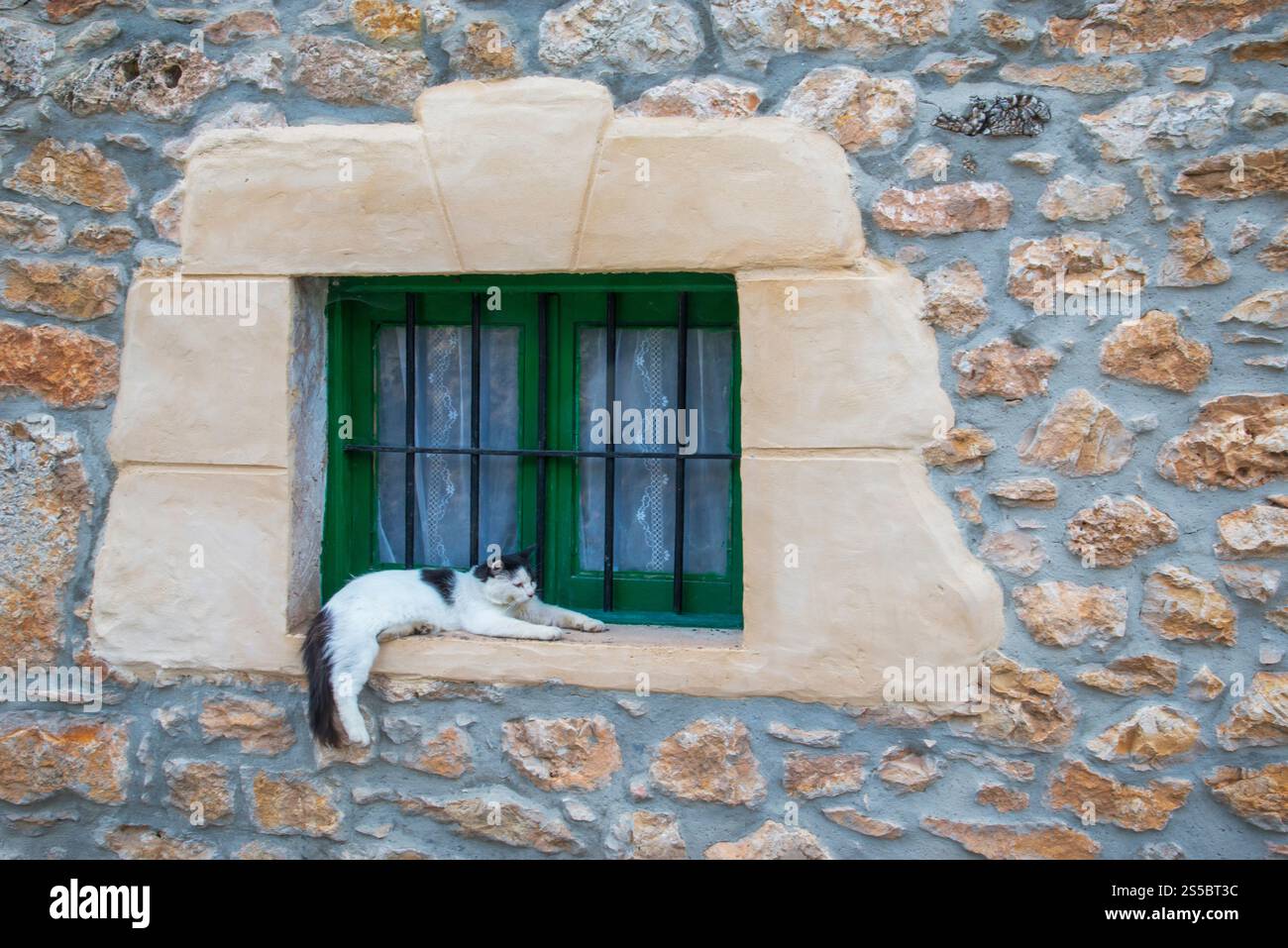 Katze liegend auf ein Fenster. Orbaneja del Castillo, Burgos Provinz Castilla Leon, Spanien. Stockfoto