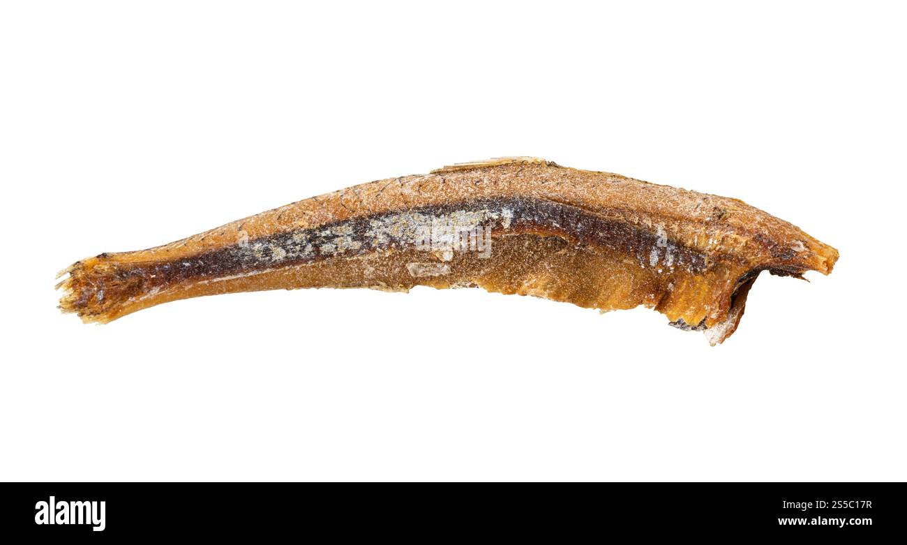 Getrockneter kopfloser Sardellenfisch isoliert auf weißem Hintergrund Stockfoto