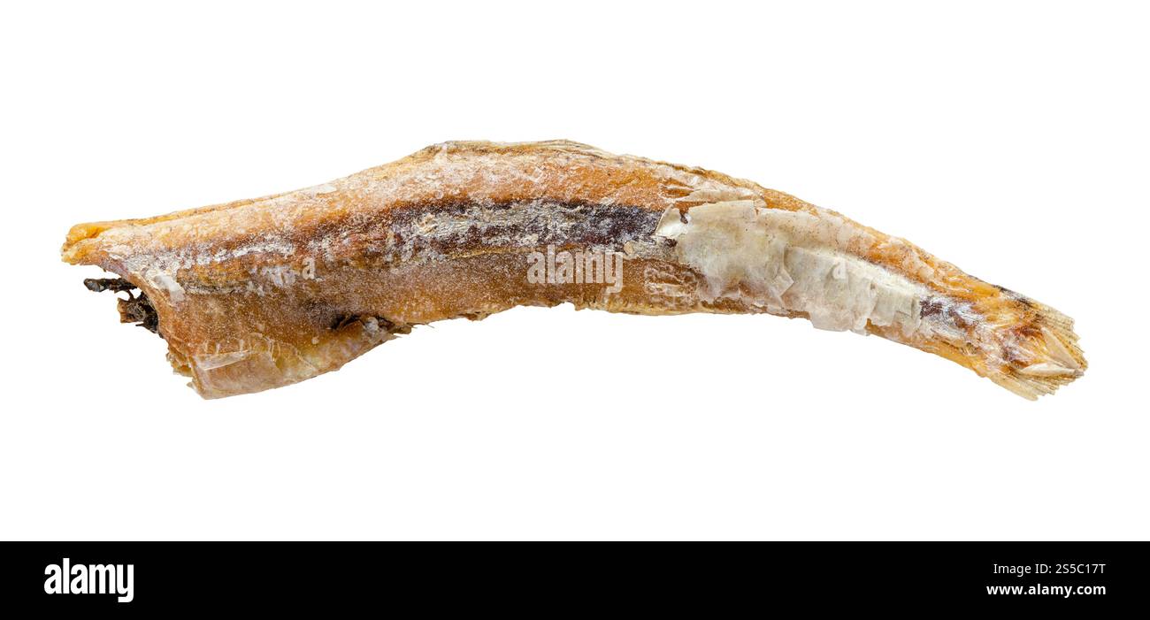 Einzelner getrockneter Sardellenfisch isoliert auf weißem Hintergrund Stockfoto