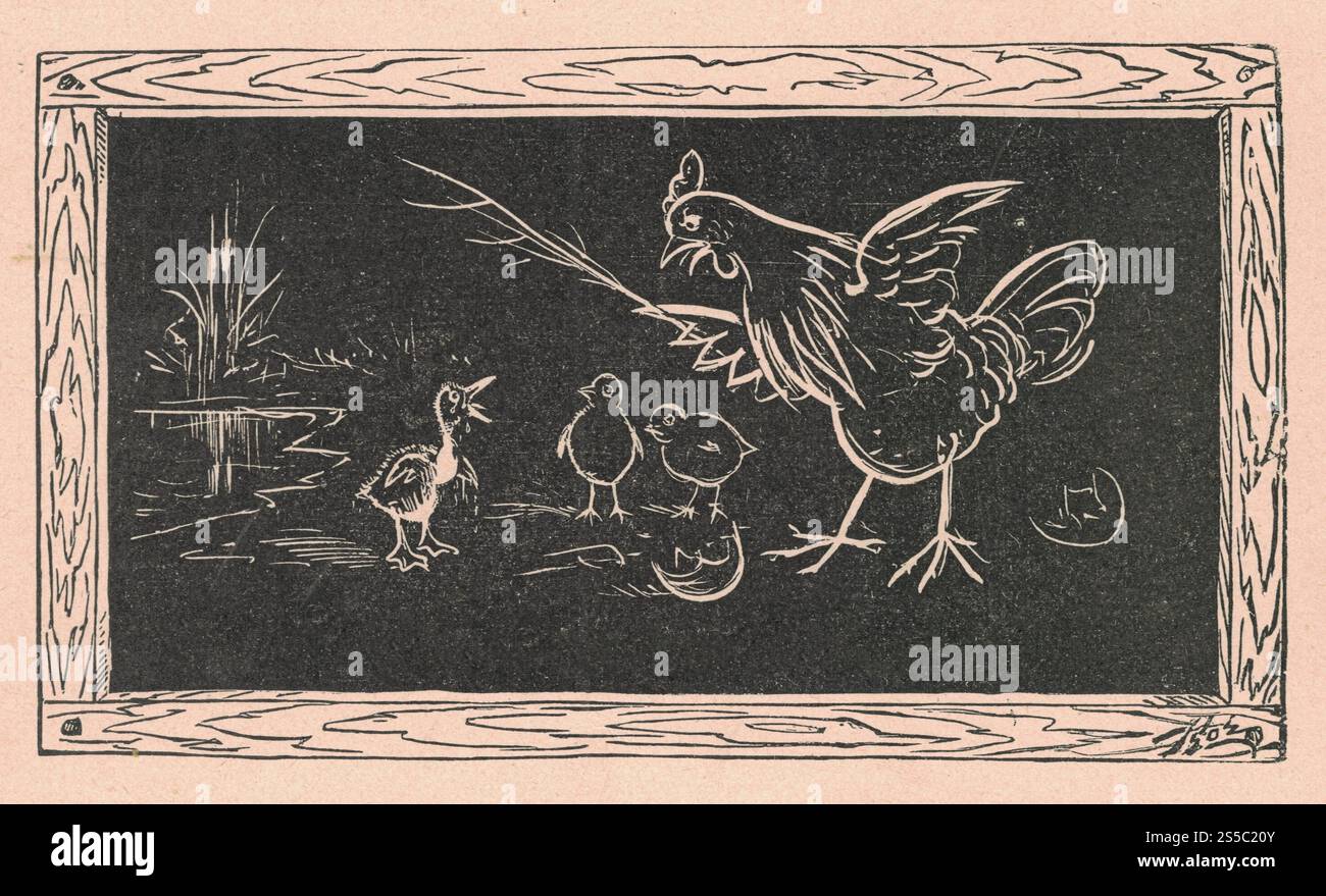 Eine antike schwarz-weiße Illustration zeigt ein Huhn und Hühner auf einer Tafel gezeichnet. Die Vintage-Zeichnung zeigt das Huhn und seine Hühner auf dem Stockfoto