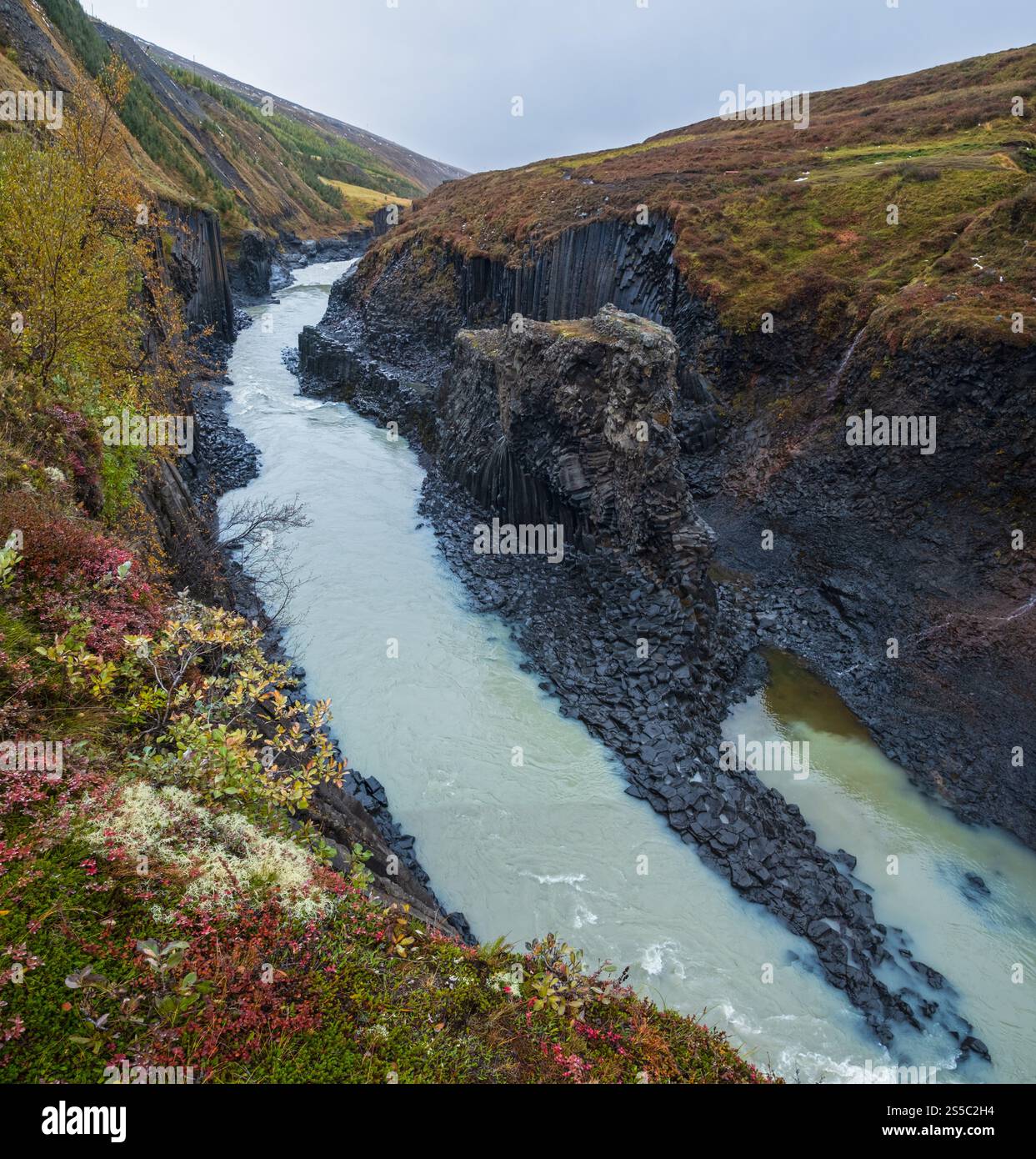 Der malerische Studlagil Canyon im Herbst ist eine Schlucht in Jokuldalur im Osten Islands. Berühmte Basaltfelsen und der Jokla River fließt durch Stockfoto