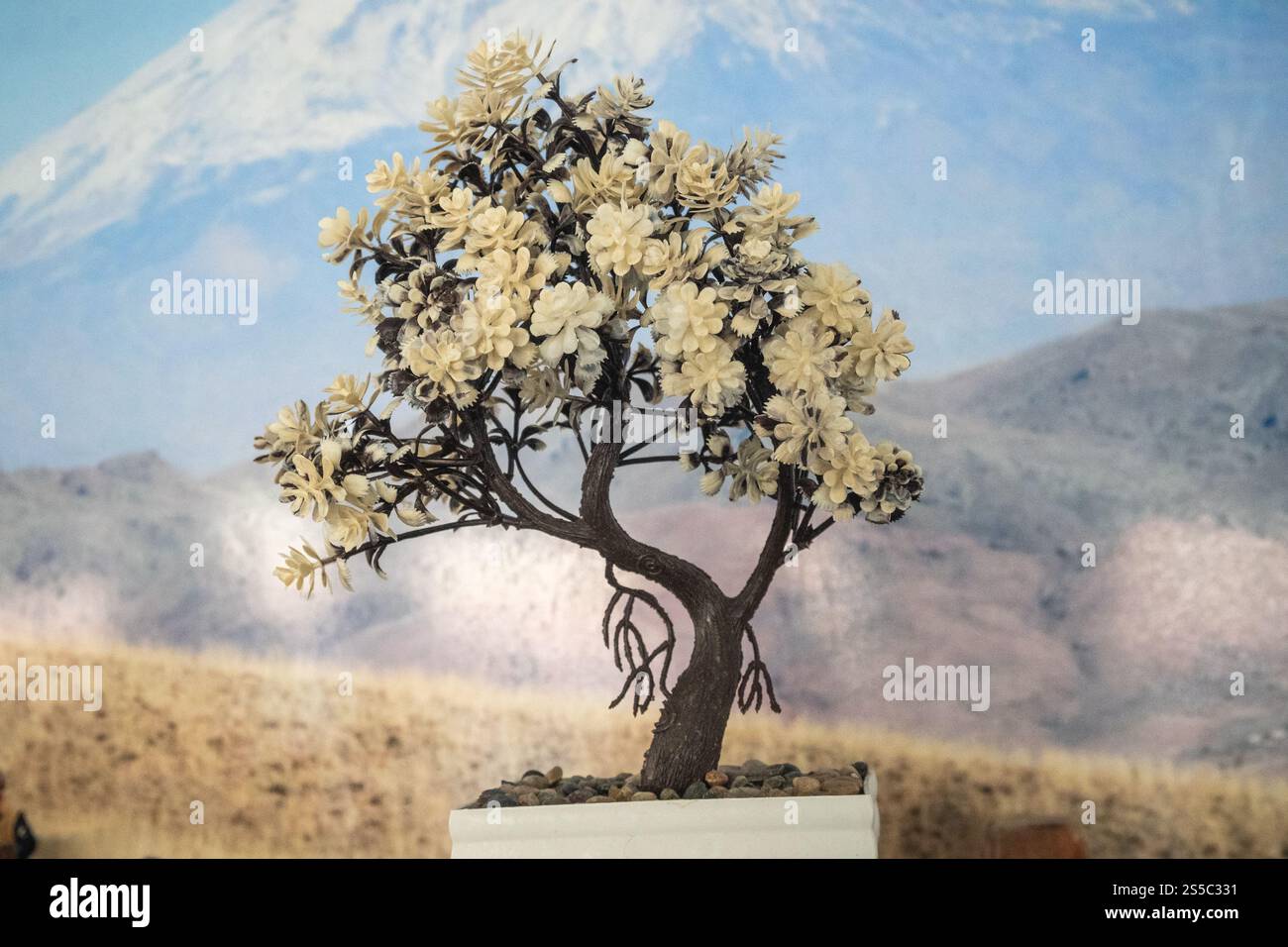 Ein Bonsai-Baum und ein Berg. Stockfoto