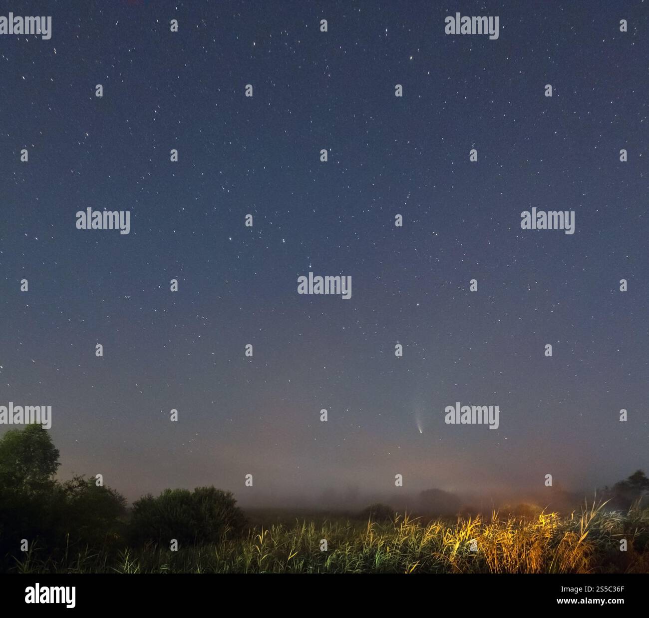 Komet Neowise C2020 F3, wie er im Sommerhimmel über einer Wiese in der Nähe der Landstraße, Region Lviv, Ukraine fliegt. Stockfoto