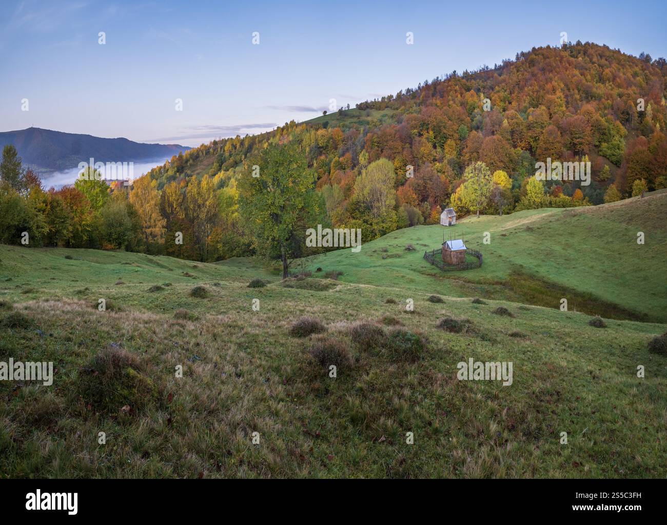 Nebelige Herbstszene am frühen Morgen. Friedliche malerische Reisen, saisonale Natur- und Landschaftsschönheiten. Karpaten Stockfoto
