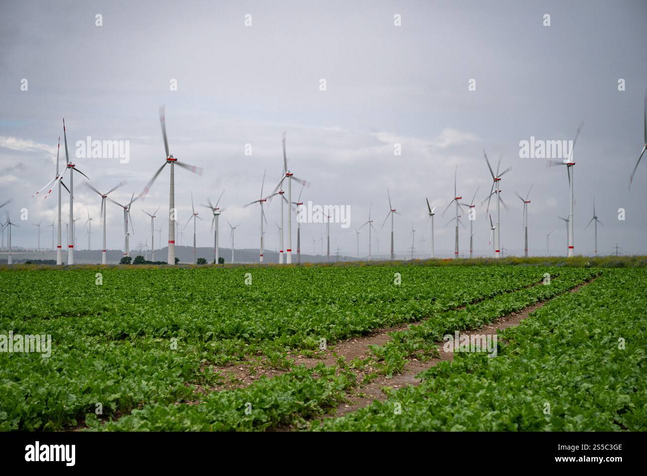 07,2024 Deutsche Windenergieanlagen quer durch die Landschaft in der Region Marsberg Stockfoto