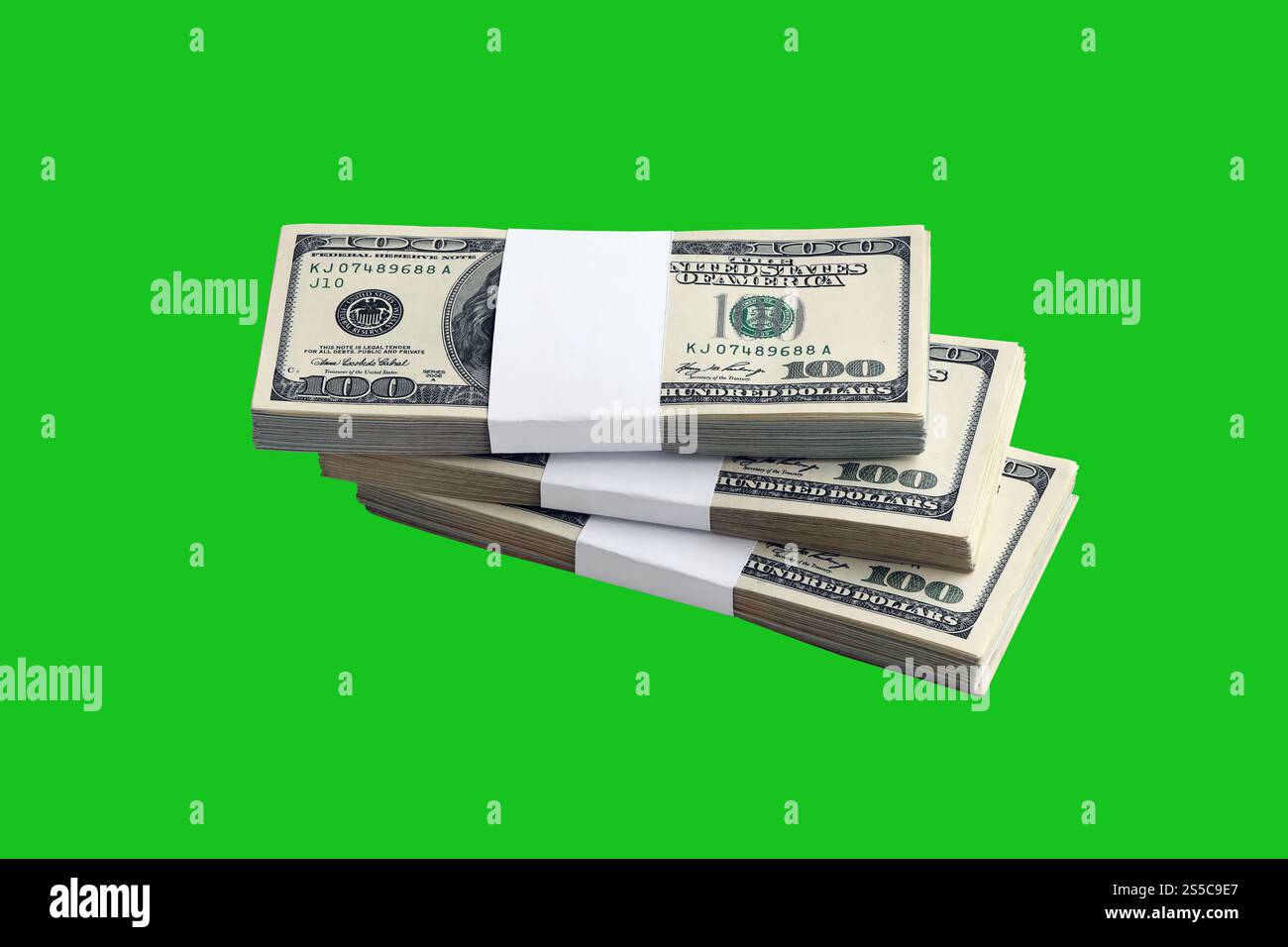 Viele schöne Blumen im Garten. Mexikanische, aztekische oder afrikanische Ringelblume. Tagetes erecta Stockfoto