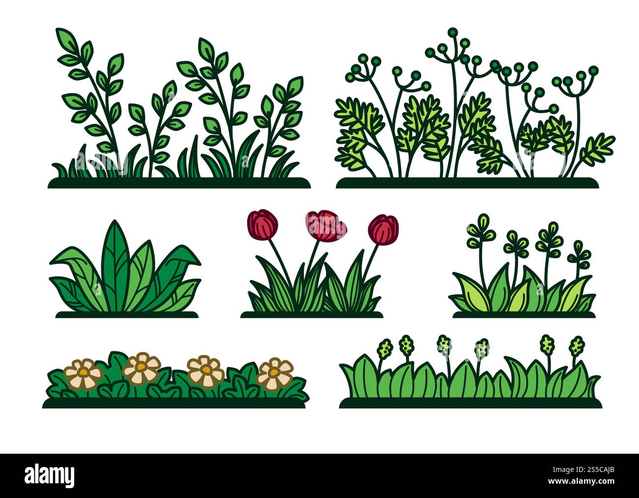 Wildes Grasdickicht mit Blumen und Unkraut Set. Heller Mohn, zarte Kamille und grüne Kräuter. Frisches Grün, das überall wächst isolierte Zeichentrick flache Vektor-Illustrationen auf weißem Hintergrund. Wildes Grasdickicht mit Blumen und Unkraut Set Stock Vektor