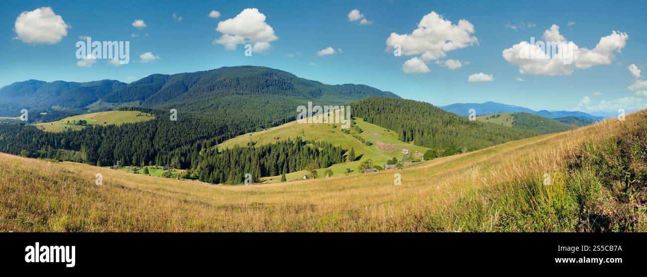 Bergdorf. Sommerlandschaft mit Tannenwald am Hang (Karpaten, Ukraine). Stockfoto