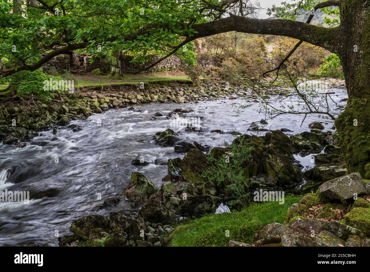 Der Fluss Esk in der Nähe der St. Catherine's Church, Dalegarth in Eskdale, Cumbria Stockfoto