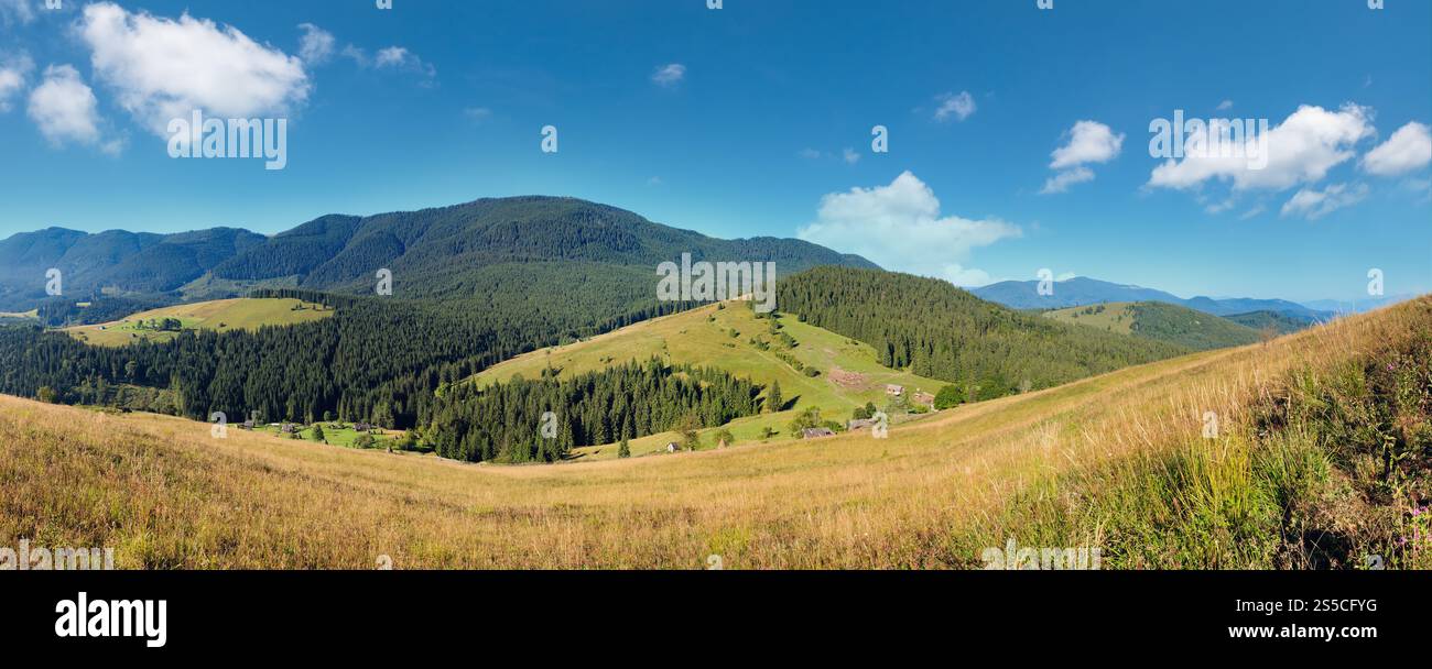 Bergdorf. Sommerlandschaft mit Tannenwald am Hang (Karpaten, Ukraine). Stockfoto