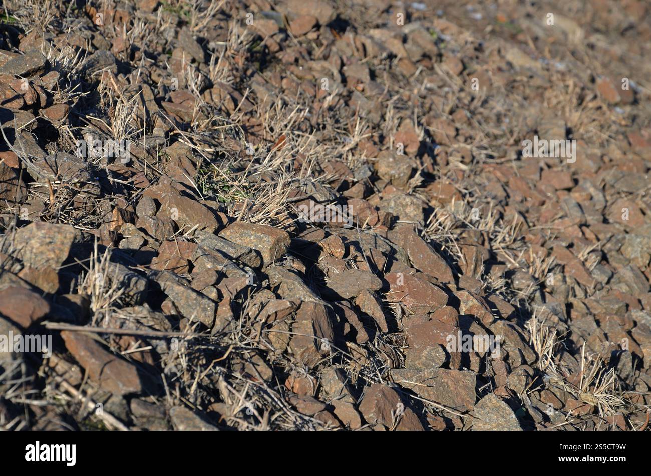 Detaillierte Aufnahme vieler orangener Felsen am Tag im Freien. Detaillierte Textur der Steinoberfläche Stockfoto