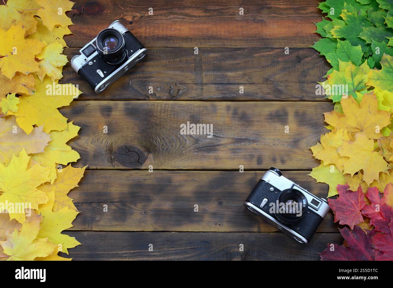 Zwei alte Kameras unter einer Reihe von vergilbung gefallenen Blätter im Herbst auf einem Hintergrund Oberfläche der natürlichen hölzernen Brettern von dunkelbrauner Farbe Stockfoto