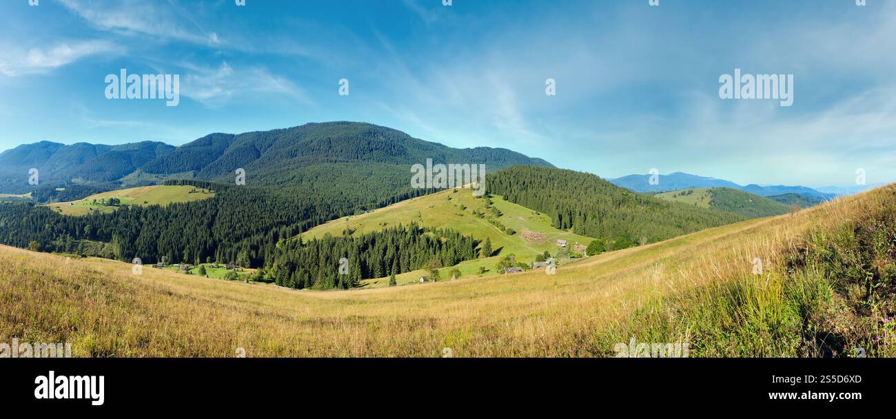 Bergdorf. Sommerlandschaft mit Tannenwald am Hang (Karpaten, Ukraine). Stockfoto