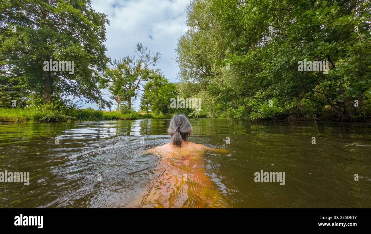 Rückansicht einer wilden Schwimmerin mit grauen Haaren, die an einem warmen Sommertag in einem Teich schwimmt. Stockfoto