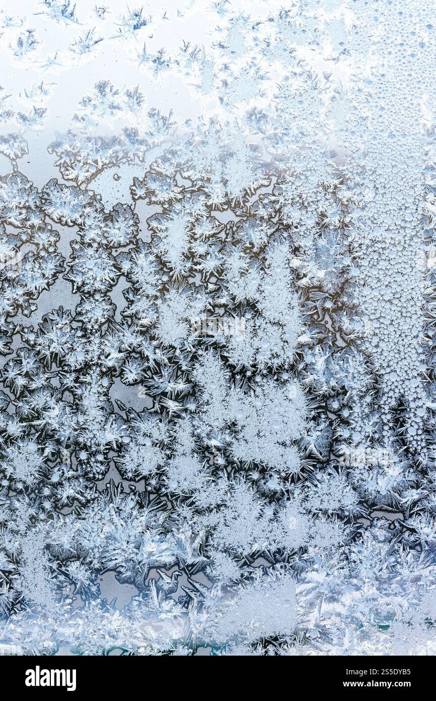 Vertikaler natürlicher Hintergrund – blauer Frost auf der Oberfläche des Heimfensters an kalten Wintertagen Stockfoto