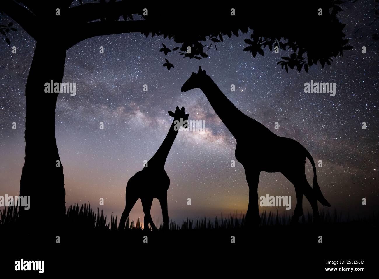 Die Silhouette einer Giraffe und zwei Bäume auf einem Hintergrund mit Sternen Stockfoto