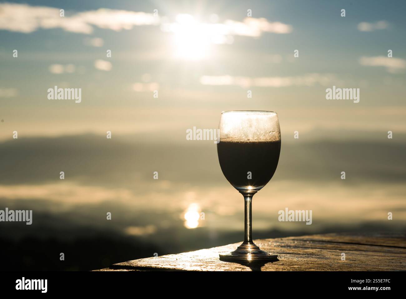 Weingras am Morgen Stockfoto