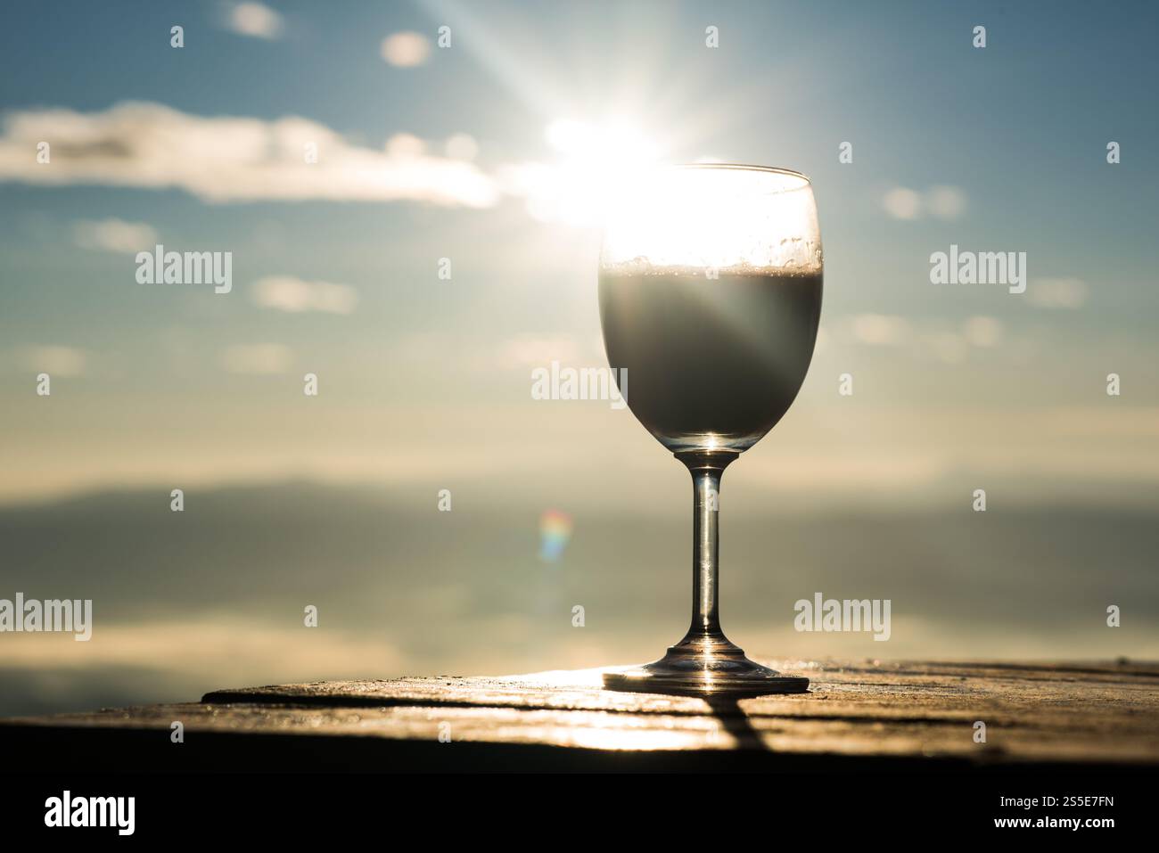 Weingras am Morgen Stockfoto