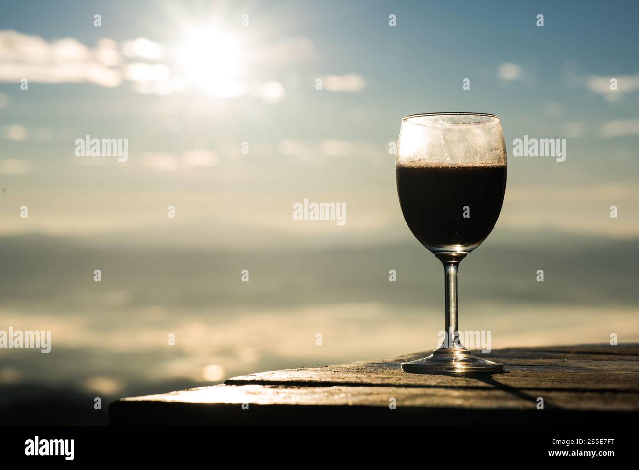 Weingras am Morgen Stockfoto