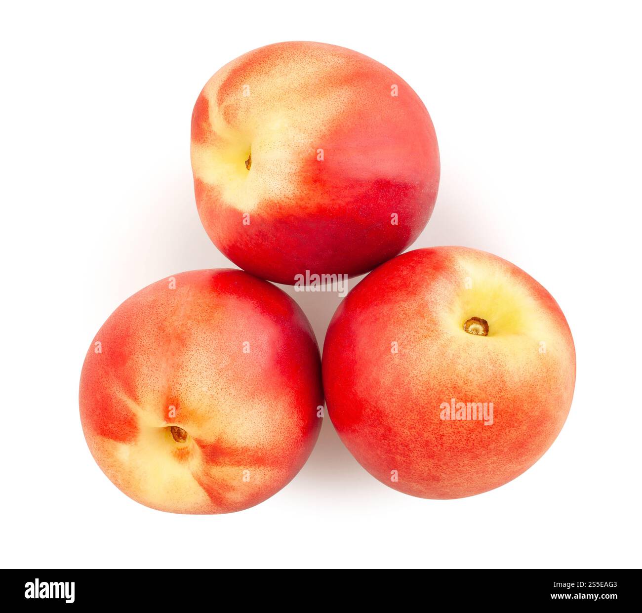 Weißer Nektarinpfad isoliert auf weißer Draufsicht Stockfoto