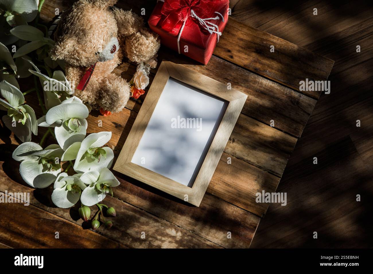 Bilderrahmen in Draufsicht mit Baumschatten Stockfoto