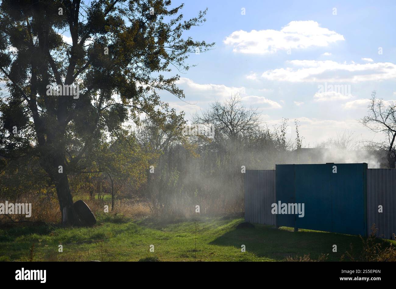 Die Oktoberlandschaft mit einem großen Baum und dem Hof eines Privathauses im Dorf, aus dem der Rauch von Kochkebabs klopft. Oktober Stockfoto