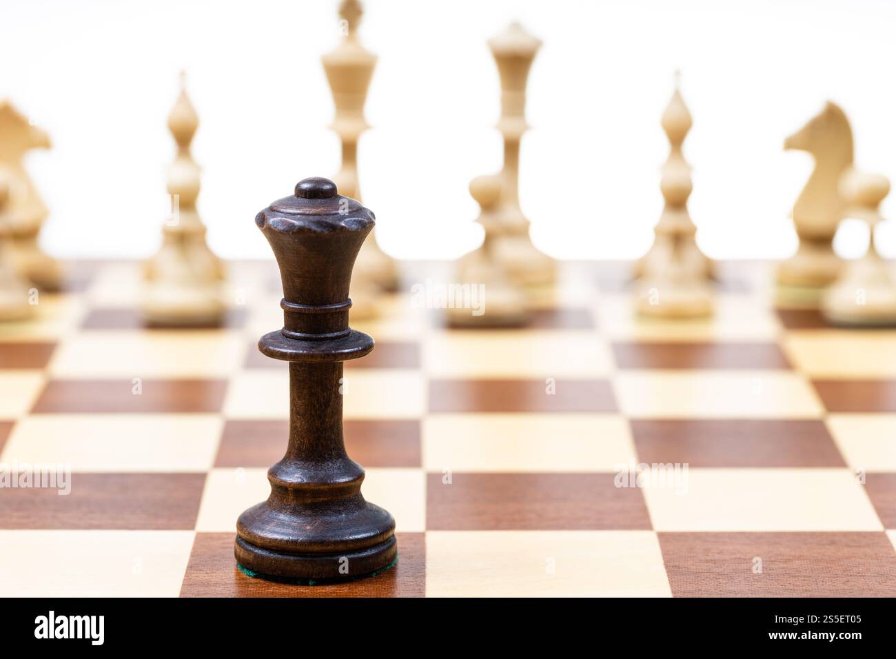 Schwarze Königin gegen weiße Schachfiguren im Hintergrund auf hölzernem Schachbrett Nahaufnahme (Fokus auf Königin) Stockfoto