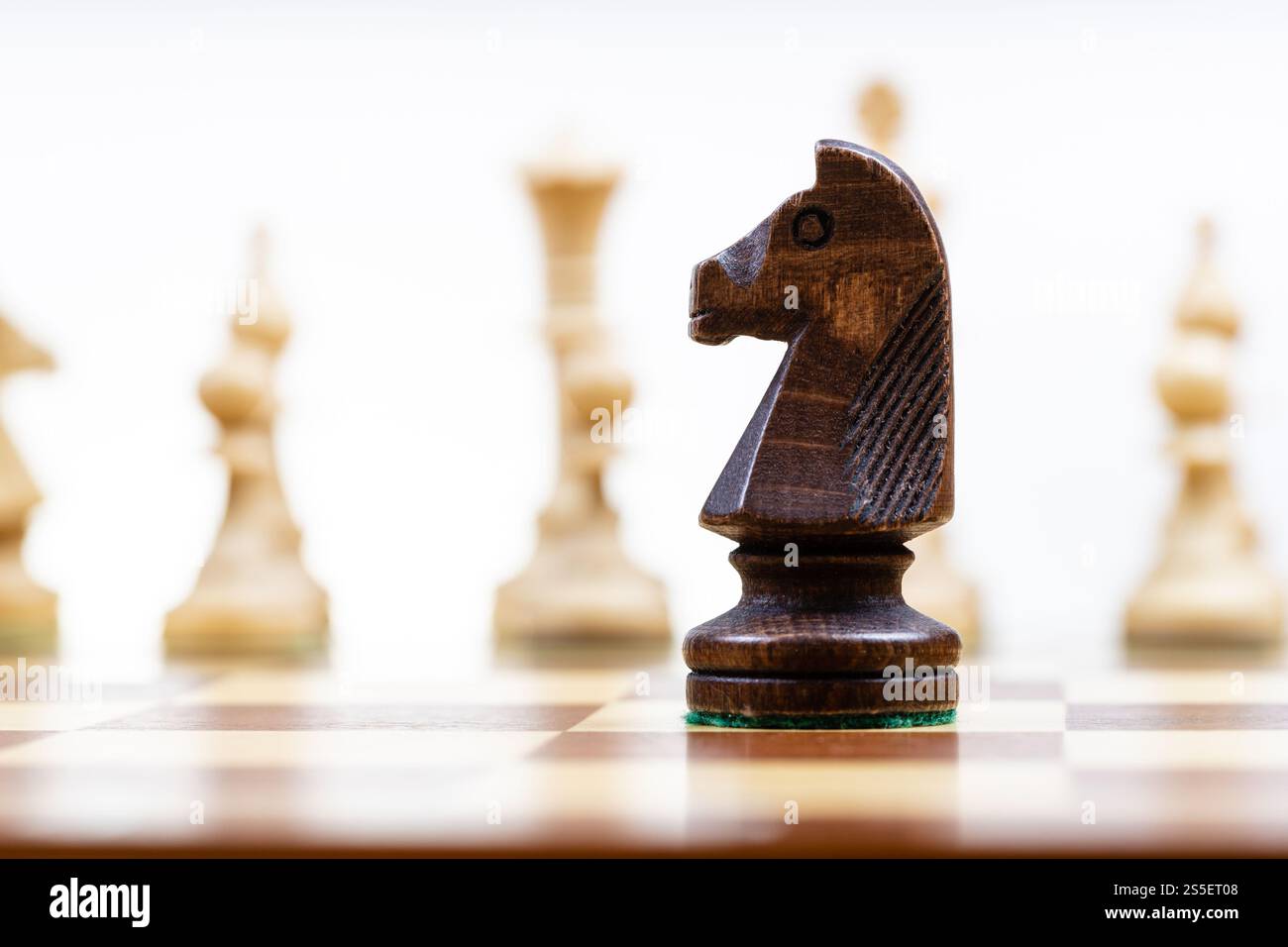 Schwarzer Ritter gegen weiße Schachfiguren im Hintergrund auf hölzernem Schachbrett Nahaufnahme (Fokus auf Königin) Stockfoto
