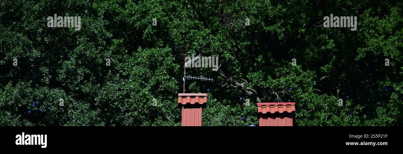 Hochwertiges, rotes Metallziegeldach eines Hauses vor grünem Baumhintergrund. Hochwertiges Dach aus rotem Metallfliesen eines Hauses Stockfoto