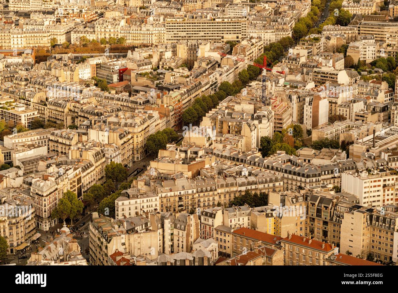 Luftaufnahme auf eine dichte Stadtlandschaft von Paris, bei Sonnenuntergang mit warmem Licht, das die Gebäude in Paris, Frankreich, taucht Stockfoto