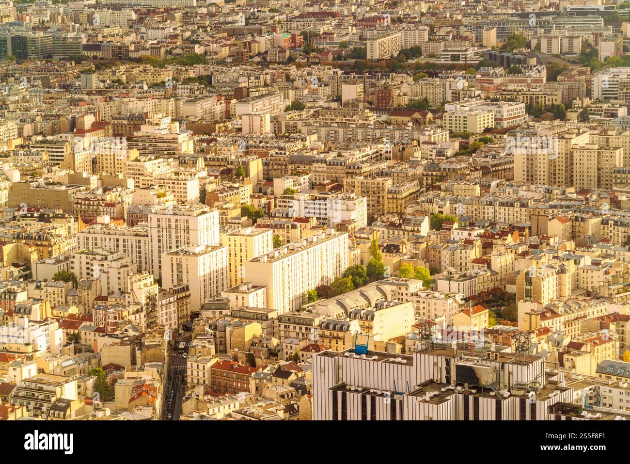 Luftaufnahme einer dichten europäischen Stadt Paris mit dicht gepackten Gebäuden und Straßen in sanftem Sonnenlicht, Frankreich Stockfoto