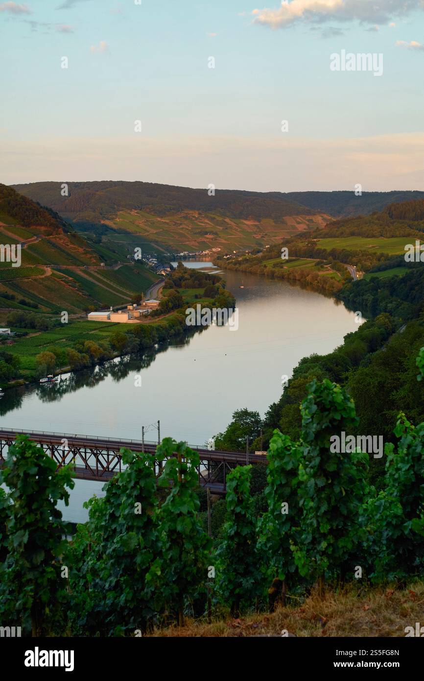 Die ruhige Mosel schlängelt sich in der Abenddämmerung durch ein üppiges Tal, mit einer Brücke im Vordergrund und Hügeln im Hintergrund, Moseltal, Deutschland Stockfoto