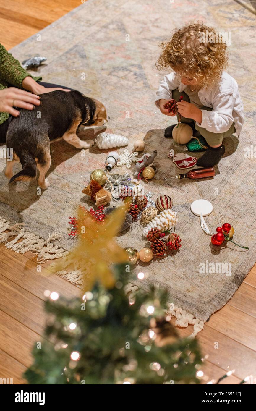 Ein lockiges Kind spielt in festlicher Umgebung mit Weihnachtsschmuck auf dem Boden, mit einem Hund in der Nähe und einer Hand eines Erwachsenen, die auf das Haustier in Ohio, USA, greift Stockfoto