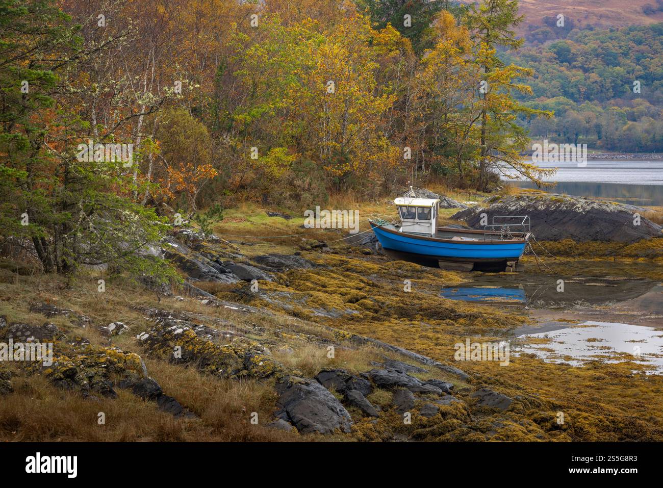 Ein Fischerboot liegt im Herbst/Herbst am Ufer des Loch Creran an der Westküste Schottlands. Stockfoto