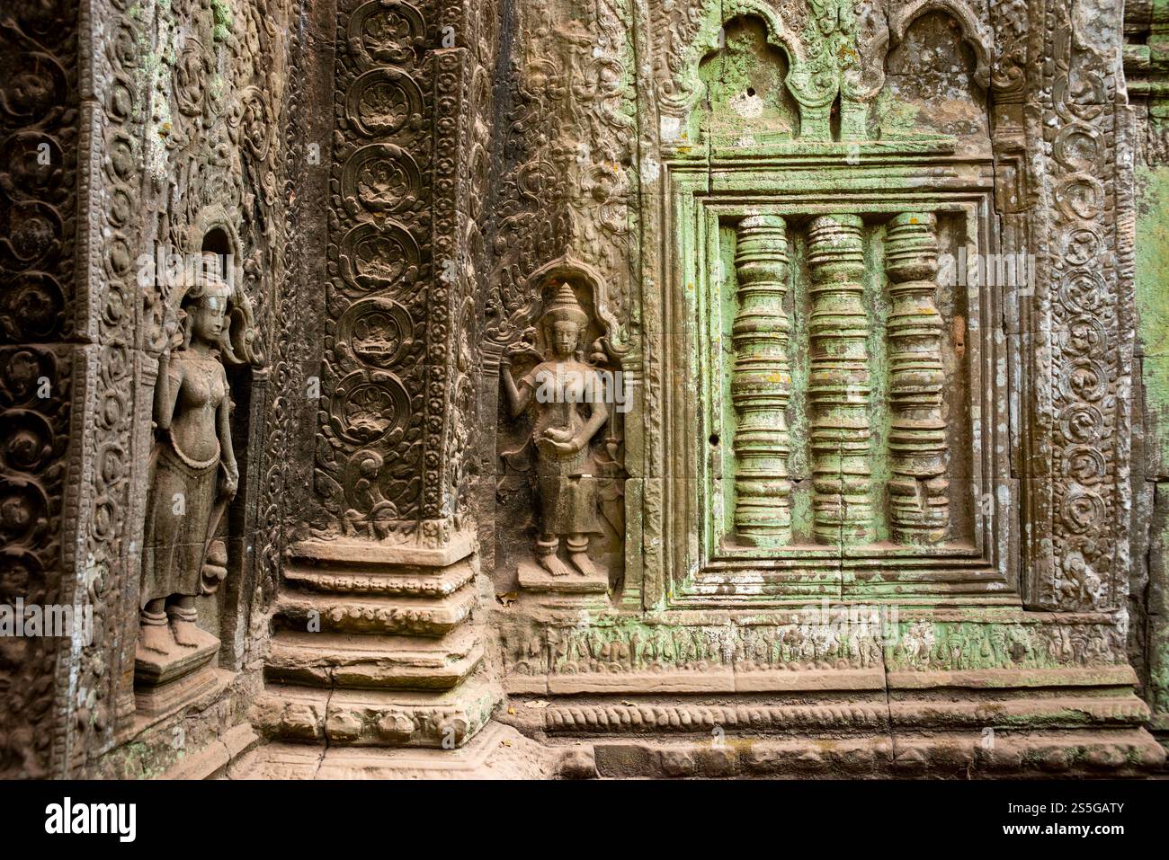 TA Prohm Tempel in Angkor, Kambodscha, Südostasien Stockfoto