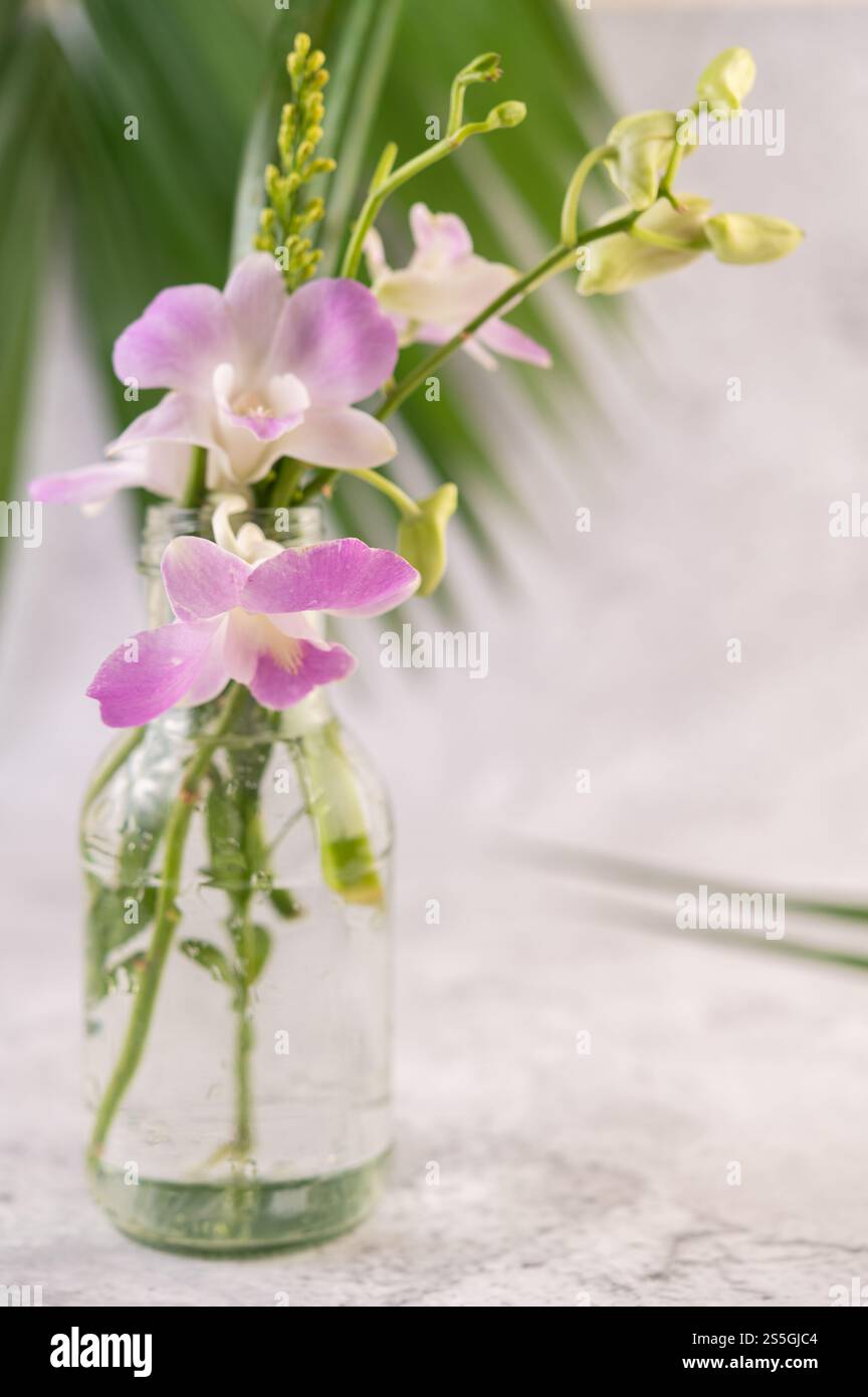 Lila Orchidee in einer Glasflasche. Selektiver Fokus. Stockfoto