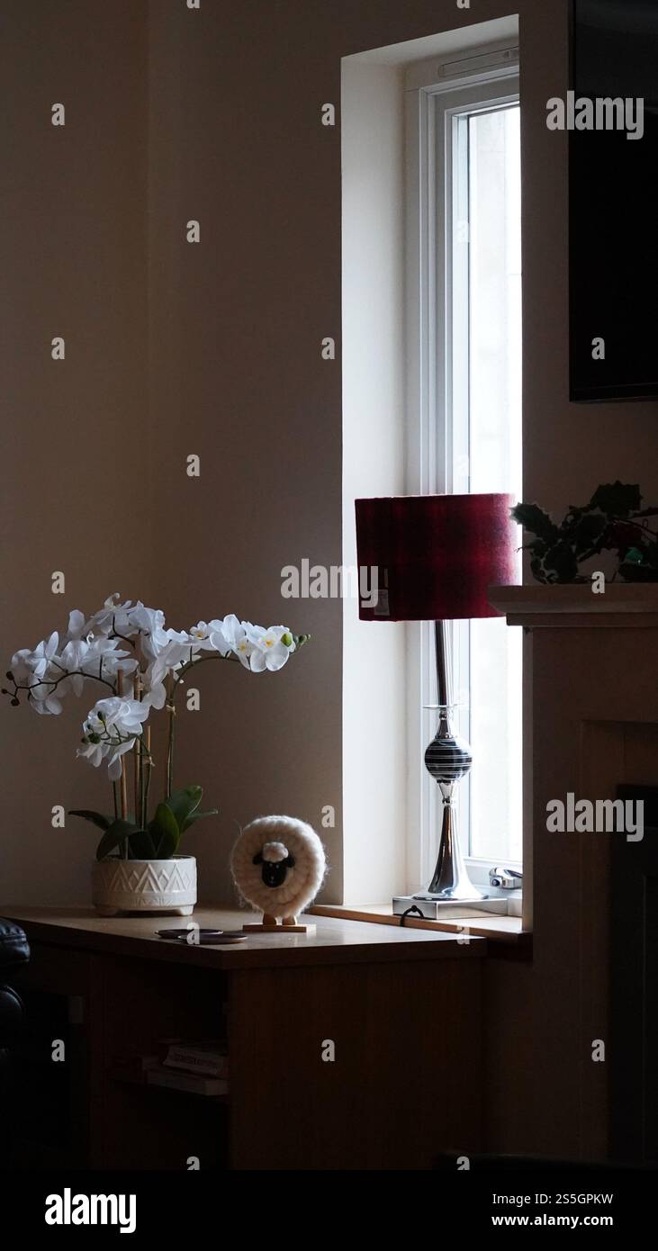 Eine Tischlampe am Rand eines Fensters mit einer Vase weißer Blumen daneben Stockfoto