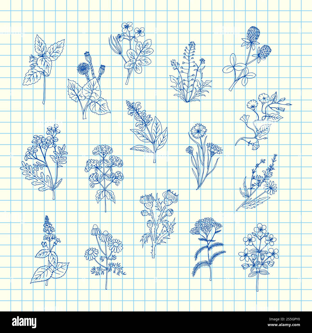 Vektor Hand gezeichnete medizinische Kräuter auf blaue Zelle Blatt Hintergrund Illustration. Kräuter medizinische und natürliche, skizzierte Kritzelpflanzen. Vektor Hand gezeichnete medizinische Kräuter auf blaue Zelle Blatt Hintergrund Illustration Stock Vektor