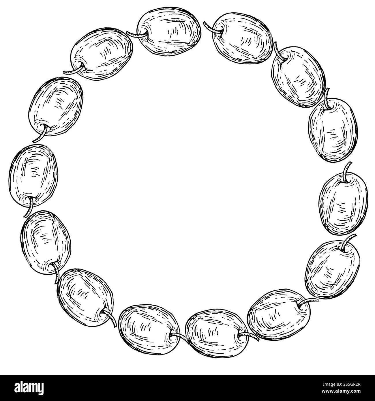 Oliven und schwarze Olivenbeeren, handgezeichnet in Aquarellen. Runder Rahmen aus Oliven, abgerundeter botanischer Clipart. Vorlage für Grußkarte, Etikett usw. Stockfoto