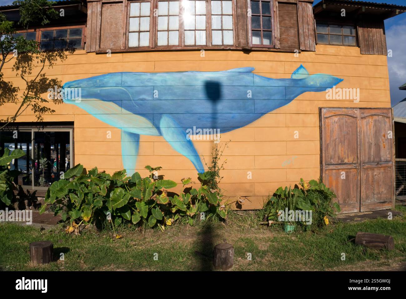 Ein Wandbild eines Wals ziert die Seite eines Restaurants in Hanga Roa, Osterinsel; Stockfoto