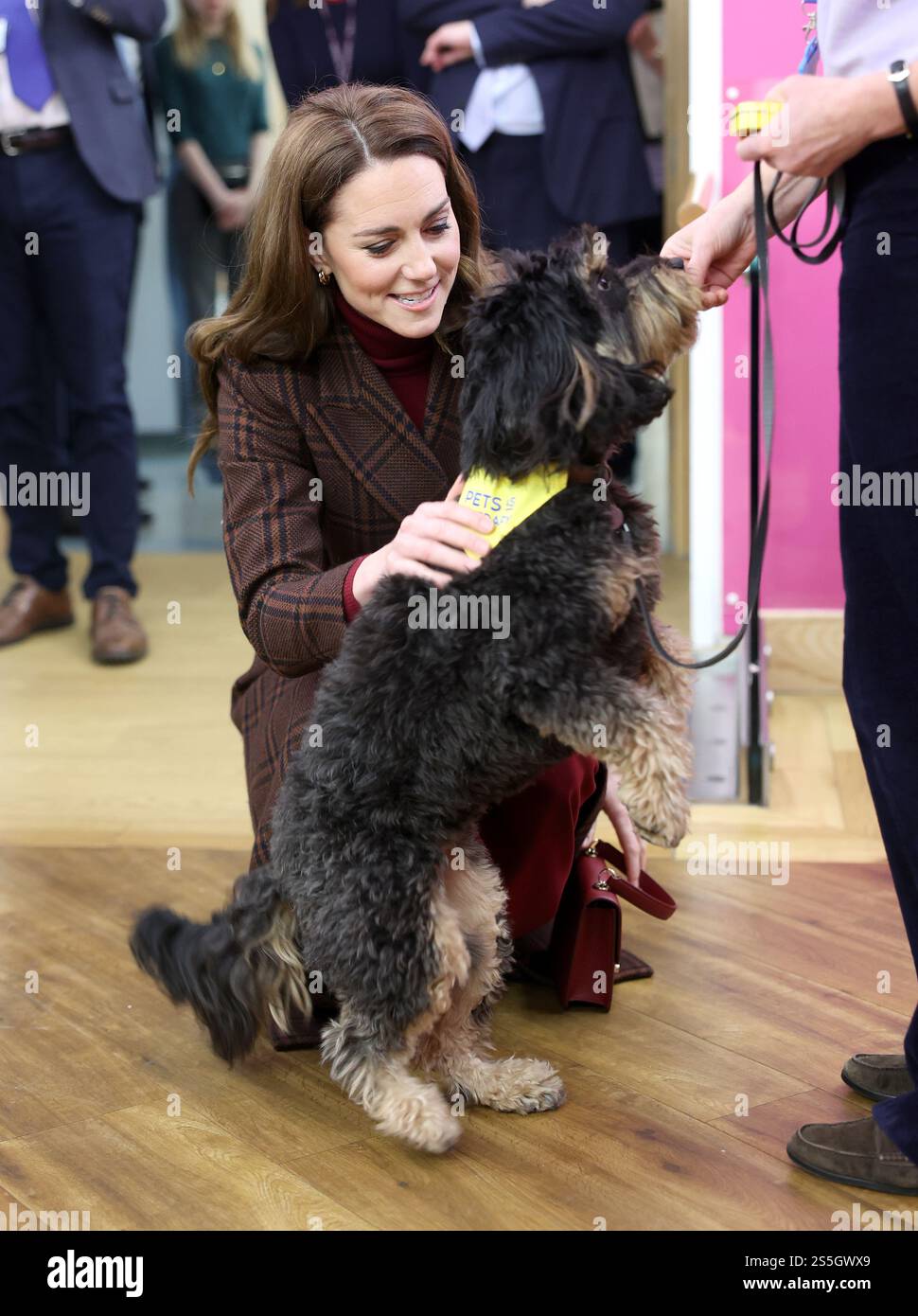 Die Prinzessin von Wales trifft Scout, einen Therapiehund, während eines Besuchs im Royal Marsden Hospital in London, wo sie ihre Krebsbehandlung erhielt, um persönlich den Mitarbeitern für ihre Betreuung zu danken. Der Prinz und die Prinzessin von Wales sind gemeinsame Schirmherren des Royal Marsden NHS Foundation Trust, dem Spezialkrankenhaus für Krebs, das jedes Jahr über 59.000 NHS- und Privatpatienten behandelt. Bilddatum: Dienstag, 14. Januar 2025. Stockfoto
