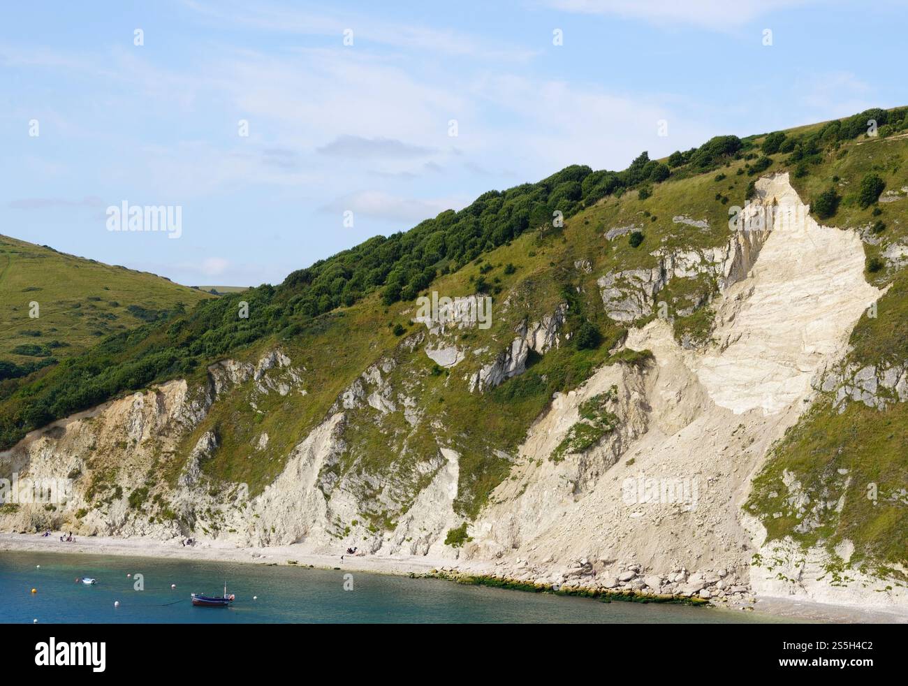 Erdrutsch oder Erdrutsch auf den Chalk Sea Cliffs in Lulworth Cove, Jurassic Coast, Dorset, England, Großbritannien Stockfoto