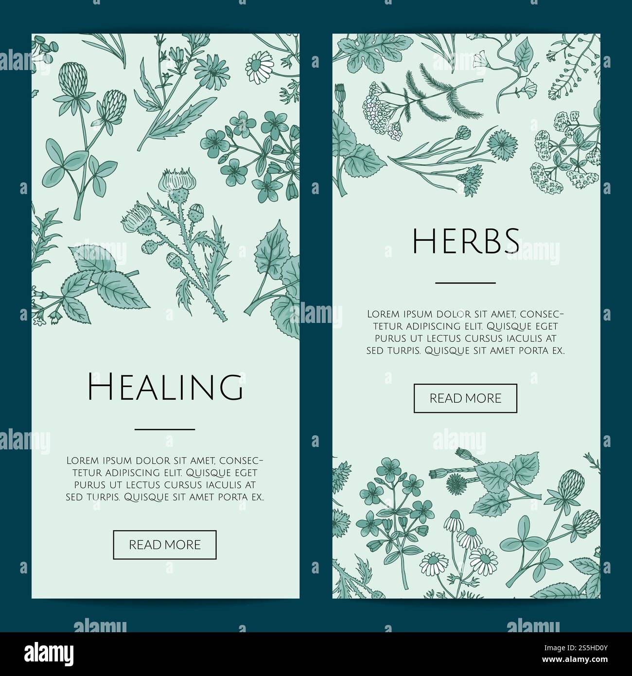 Satz von Vektor Hand gezeichnete medizinische Kräuter Web Banner und Poster Vorlagen Illustration. Vektor Hand gezeichnete medizinische Kräuter Web-Banner Vorlagen Illustration Stock Vektor