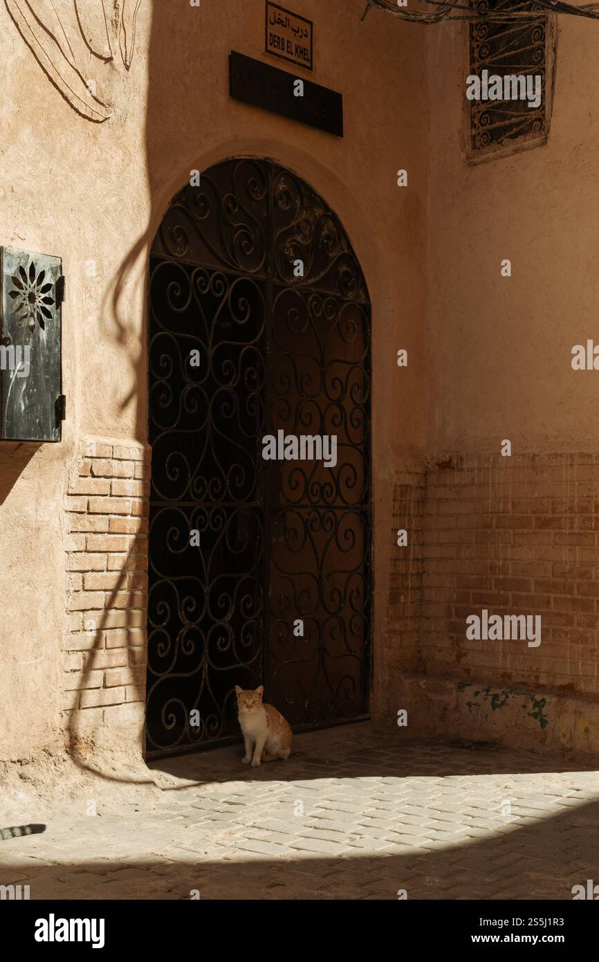 Tür im Schatten einer Straße mit einer Katze unten in den Straßen der Marrakesch Menida in marokko Stockfoto