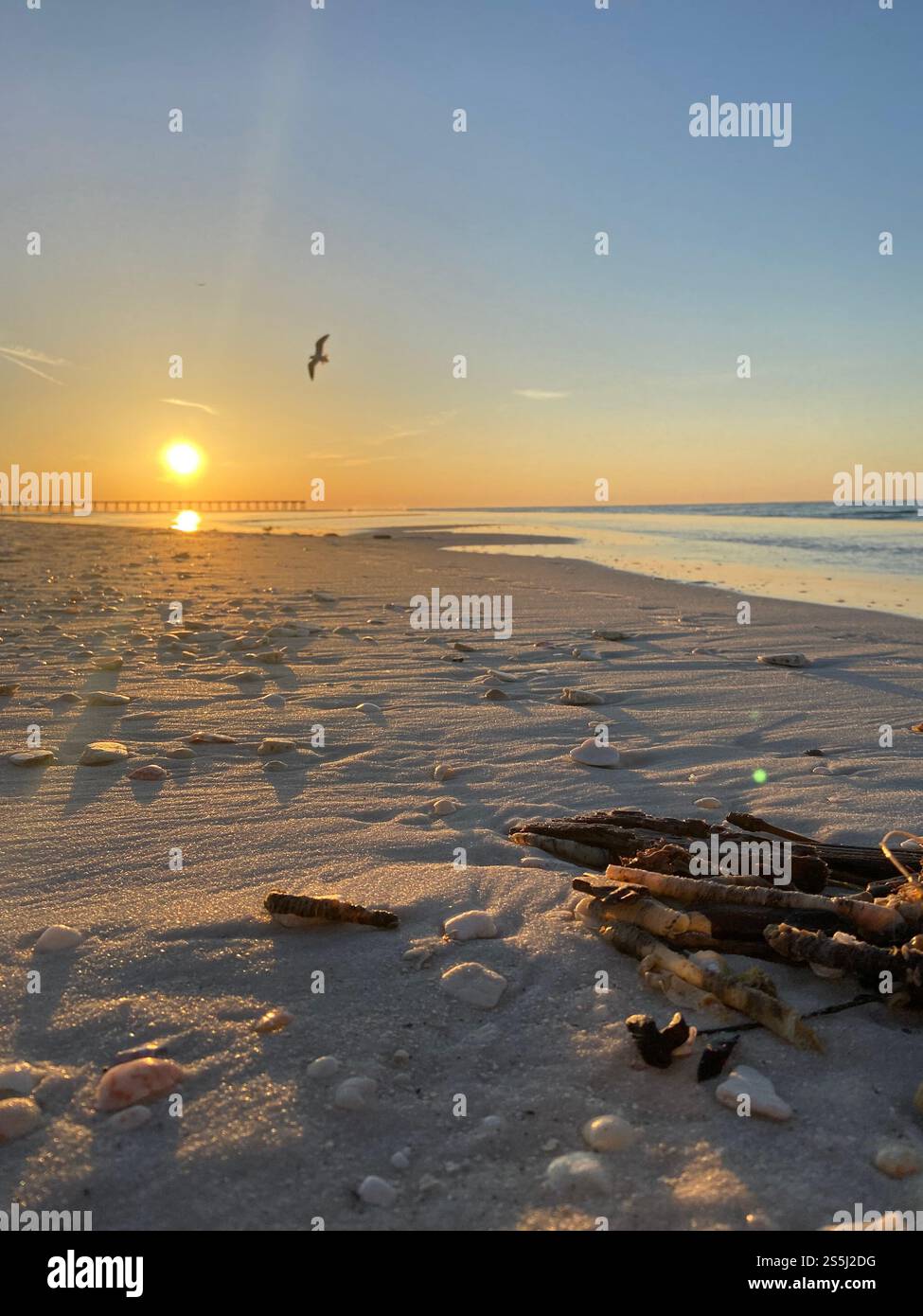 Groß im Chaos stehen - Smartphone-aufgenommenes Stockfoto