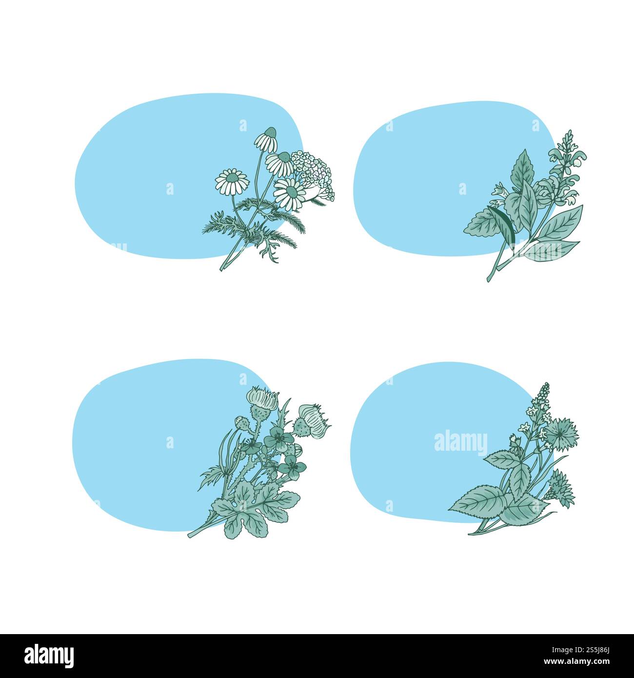 Vektor Hand gezeichnete medizinische Kräuter Aufkleber mit Platz für Text Set Illustration. Vektor Hand gezeichnete medizinische Kräuter Aufkleber Stock Vektor