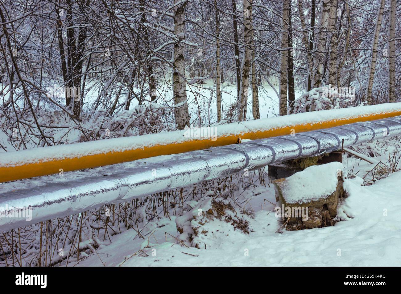 Die Wasserversorgung des Dorfes ist mit Wärmedämmung und Frostschutz im Winter abgedeckt Stockfoto